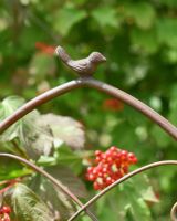 Close up of rustic bird detail on garden trellis
