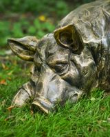 Close up of intricate detail on brushed gold sleeping pig outdoor statue