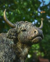 Close up of intricate face detail on highland cow garden sculpture