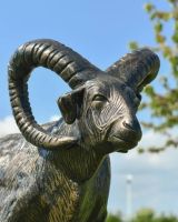 Close up of intricate face detail on ram garden statue