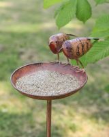 Close up of Rustic Robin Bird Feeder