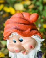 Close up of colourful outdoor gnome ornament Close up of colourful outdoor gnome ornament