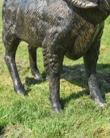 Close up of leg detail on Brushed Black and Gold "Barley" Standing Ram Sculpture 