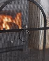 Close up of metal ring pull circular handle detail on fire guard