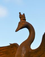 Close Up of Rustic Goose Face