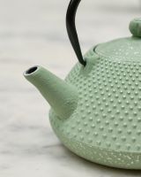 Close up of spout detail on light green and silver japanese teapot