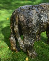 Close up of tail detail on highland cow outdoor sculpture