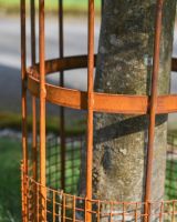 Close Up Of The Rustic Finish On The Wrought Iron Small Tree Guard