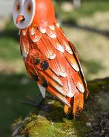Close up of colourful ginger feathers on owl ornament