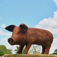 Rustic Cast Iron Pig Sculpture- Extra Large 