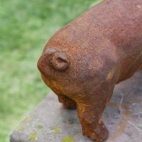 Rear view of Pig Sculpture 