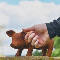 Rustic Cast Iron Pig Sculpture- Medium