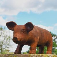 Rustic Cast Iron Pig Sculpture 