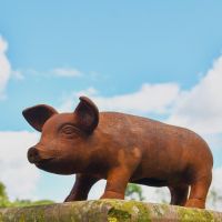 Rustic Cast Iron Pig Sculpture- Medium