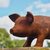 Close up of Pig Sculpture in Rustic Finish 