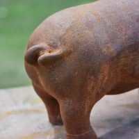 Rear view of Rustic Pig Sculpture 