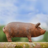 Rustic Cast Iron Pig Sculpture- Small