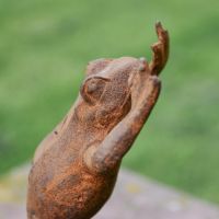 Rustic Cast Iron Frog Sculpture 