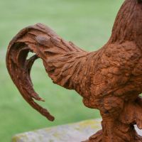 Close up of Tail Feathers on Cast Iron Rooster 