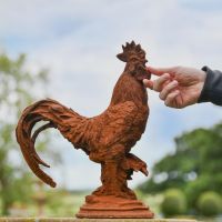 Proud Cast Iron Rooster with Hand for Scale 