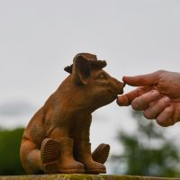 Cast Iron Pig in Wellies with Hand for Scale 