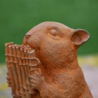 Close up of Chipmunk Playing Panpipes 