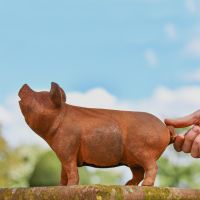 Rustic Cast Iron Pig "Oink" Sculpture in Garden