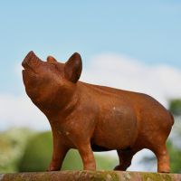 Rustic "Oink" Pig Sculpture 
