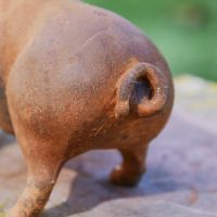 Curly Tail on Pig Sculpture 