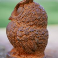 Close up of feathering 