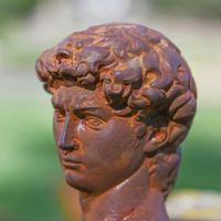 Close up of Bust of David Head