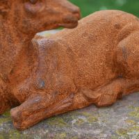 Close-Up of Body Detail