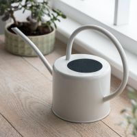 Contemporary Watering Can in Situ
