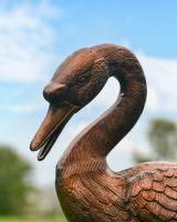 Open Beak Swan Sculpture close up on head