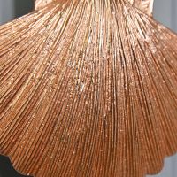 Close-up of the Copper Finish on the Shell Door Knocker
