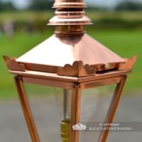 Close-up of the Wings on the Lid of the Lantern