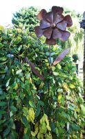 Rustic Cosmos Metal Garden Flower Support