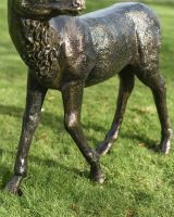 Close up Of Buck Sculpture 