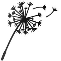 Dandelion Wall Art in a Black Finish