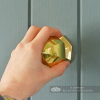 Pointed Polished Brass Octagonal Centre Door Knob