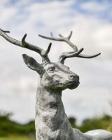 "Elkin" Lead Finished Cast Iron Stag Sculpture - Facing Left Details
