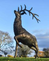 Deluxe Antique Bronze "Goliath" Stag Garden Sculpture - Looking Forward