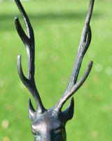 Close-Up of Antlers on Deluxe Cast Aluminium Freestanding "Fallow" Stag Garden Sculpture
