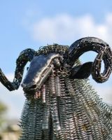 Close-Up of Life Size Twisted Metal Ram Garden Sculpture