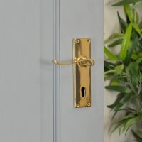Brass Victorian Curved Handle Deluxe on Grey Door in Situ