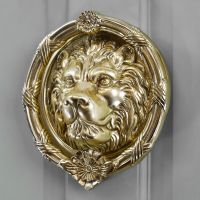 Polished Brass lion head door knocker on Pastel grey door