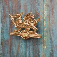 Polished Brass Dragon Door Knocker