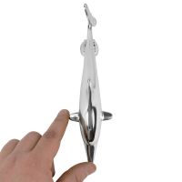 Dolphin door knocker in hand