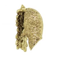 Polished Brass Hedgehog door knocker