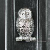 Bright Chrome Owl Door Knocker in Situ on a Black Door